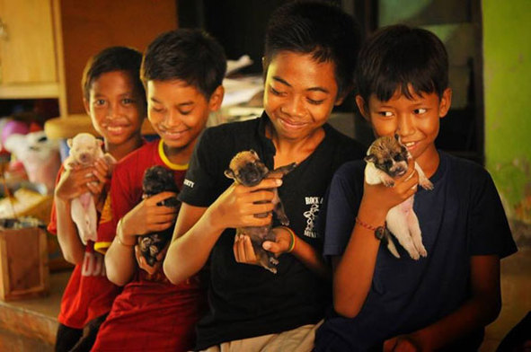 CDR Supporter Volunteers in Bali to Help Street Dogs