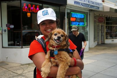 Paroma with foster dog Sprocket out and about in D.C.