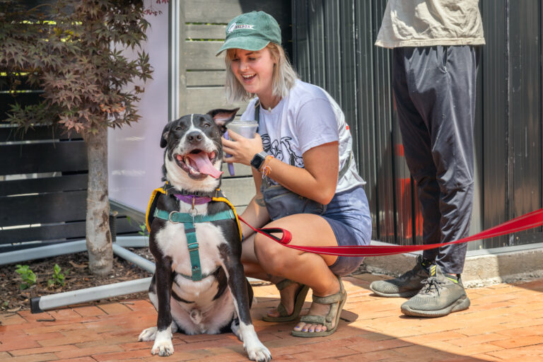 The Event of the Summer: Puppy Palooza 2024