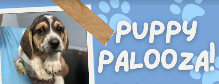 Join us at Puppy Palooza!